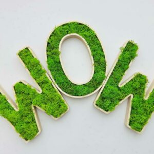 Litera z mchem chrobotkiem